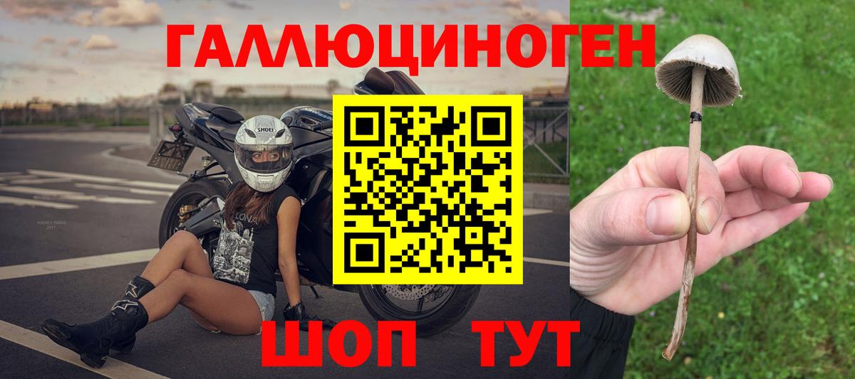 Усть-Джегута  Псилоцибиновые грибы GOLDEN TEACHER  Вход с VPN  Псилоцибиновые грибы ЛСД 